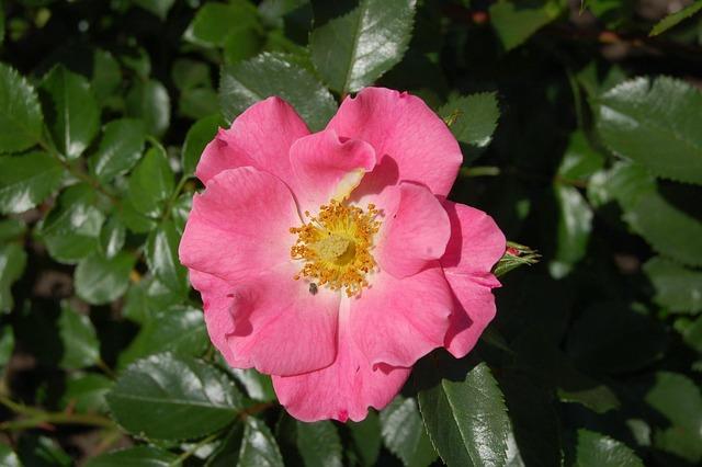 UNICEF Lao (PDR) Humanitarian Situation Report No. 1 (Super Typhoon Yagi): 16 September 2024 - ReliefWeb