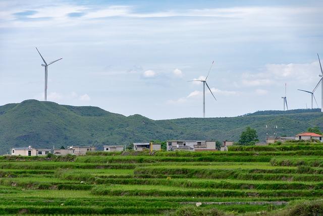 Best Practices For Sustainable Financing Participants