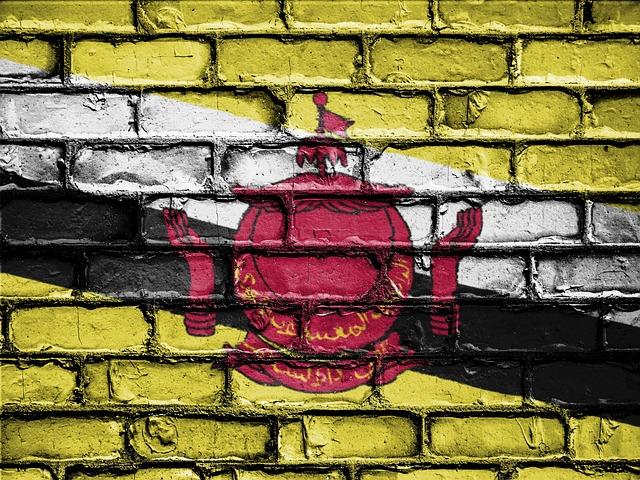 Brunei's Human Rights Progress and Challenges during UPR