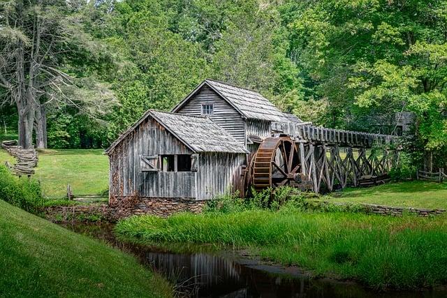 Consequences Of Pollution From Paper Mills On Local Ecosystems And Community Health