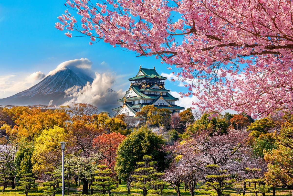 Japan's Short-Term Bond Yields Decline Amidst U.S.Treasury Yield Retreat