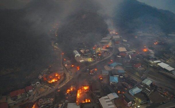 South Korea wildfires: How strong wind, pine trees and dry land fuelled the blaze – BBC