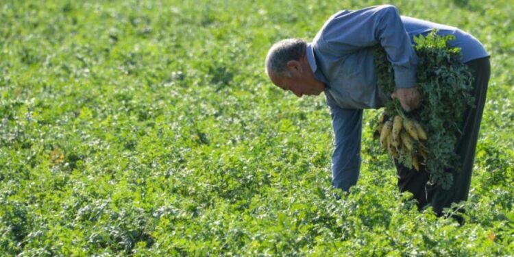 Extraordinary March heatwave in Central Asia up to 10 °C hotter in a warming climate – World Weather Attribution