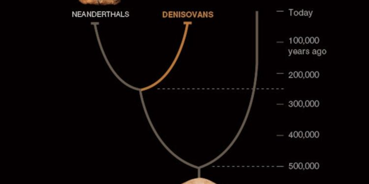 Denisovans inhabited Taiwan, new fossil evidence suggests – Science News