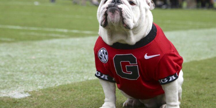 Get Up! It’s Gameday: Georgia Bulldogs Spring Scrimmage “G-Day” – Sports Illustrated