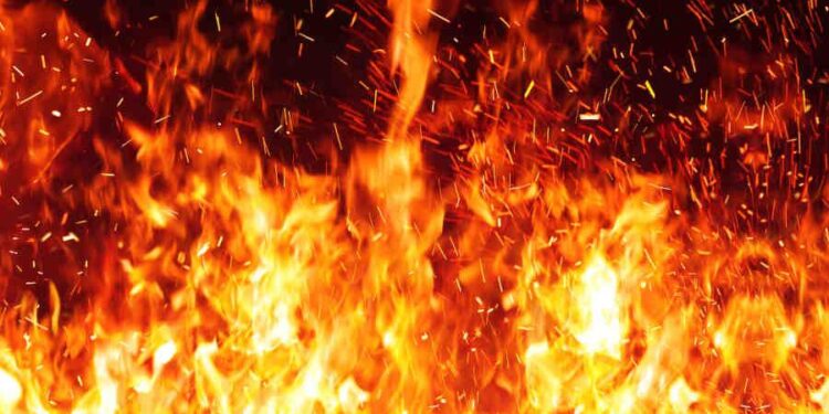 Outbreak of Fire Across South Korea – NASA Earth Observatory (.gov)