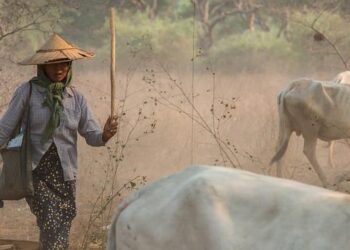 Myanmar earthquake: Search and rescue efforts continue in race against time – UN News