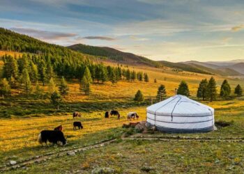 Mongolia and Central Asian Countries Discuss Climate Change and Exchange Views on Cooperation – Montsame