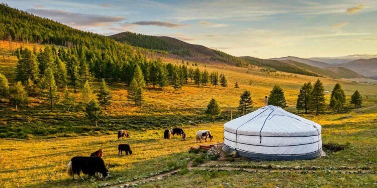 Mongolia and Central Asian Countries Discuss Climate Change and Exchange Views on Cooperation – Montsame