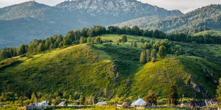 North Kazakhstan outlines 2025 crop strategy with over 4.4 million hectares under cultivation – AzerNews