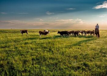 12 lessons I learned travelling in Mongolia – Escape.com.au