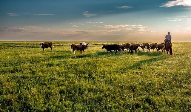 12 lessons I learned travelling in Mongolia – Escape.com.au