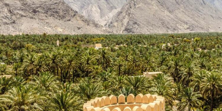 Oman’s sultan to meet Putin in Moscow after Iran-US talks – The Financial Express | First Financial Daily of Bangladesh