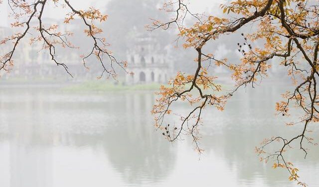 Vietnam boosts cultural, educational ties with Brunei – Vietnam+ (VietnamPlus)