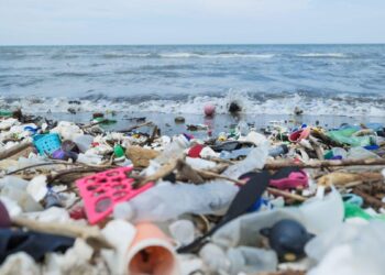 EU plastic waste exports to Asia, Turkey continue to rise – Sustainable Plastics