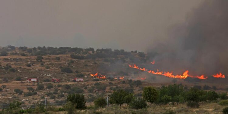 See wildfires in Israel officials fear are largest ‘ever in the country’ – CNN