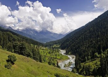 Pahalgam Terror Attack Puts Asia Cup 2025 In Jeopardy Over India-Pakistan Relations: Report – NDTV Sports
