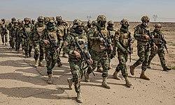 Iraqi Military Forces’ Capacity in the Wake of a Likely U.S. Withdrawal from Iraq – New Lines Institute