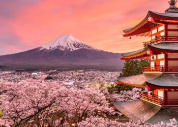 Japan’s Response to Trump’s Tariffs – The Diplomat – Asia-Pacific Current Affairs Magazine