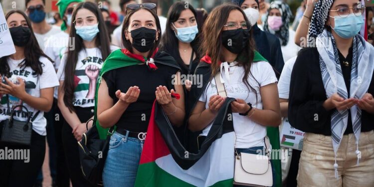 ‘Starving’ masked Palestine protesters condemn Luxon’s Gaza ‘appeasement’ – Asia Pacific Report