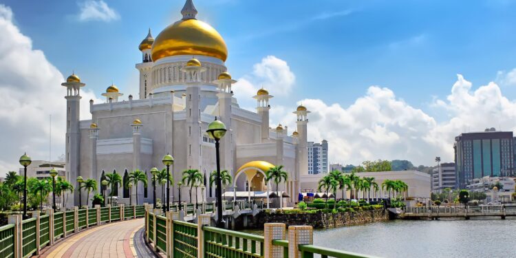 Brunei Darussalam building a healthier future with whole-of-government One Health strategy – World Health Organization (WHO)