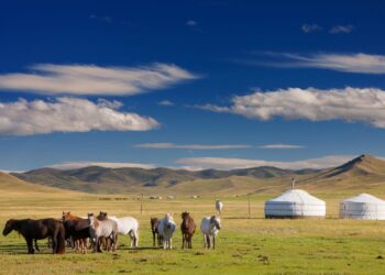 Does Mongolia Need an Aviation Fuel Deal With Russia? – The Diplomat – Asia-Pacific Current Affairs Magazine