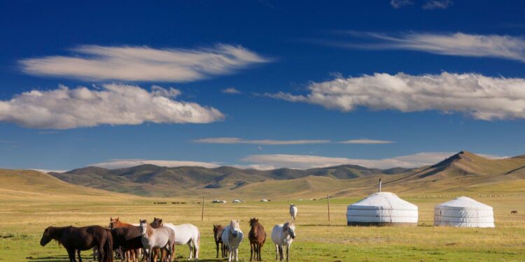Does Mongolia Need an Aviation Fuel Deal With Russia? – The Diplomat – Asia-Pacific Current Affairs Magazine