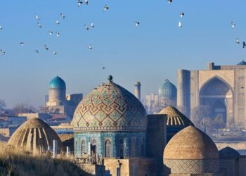 Why does Uzbekistan remain sole country in Central Asia where PayPal is not operational? – bne IntelliNews