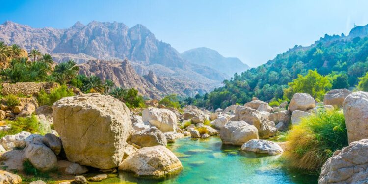 Oman ranks first in West Asia in Open Data – Oman Observer