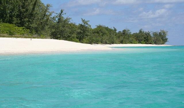Timor-Leste – UN World Food Programme