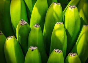 ASML Faces New China Export Restrictions: Will It Threaten Growth? – MarketWise