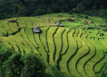 From Quiet Rise to Roar: Can Vietnam Become the Next Asian Tiger? – mironline.ca