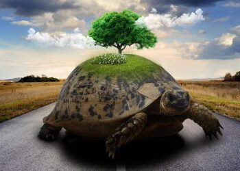 The Busy Person’s Guide to Slow Travel: 20 Thoughtful Trips for Every Type of Traveler – AFAR