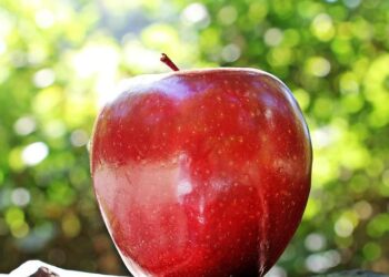 Apple tops Q2 earnings estimates on strong iPhone, China sales – Yahoo Finance