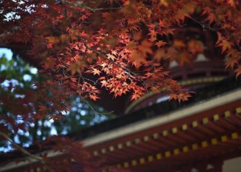 South Asian Heritage Sites Management Initiatives (Bhutan and Nepal) – Unesco