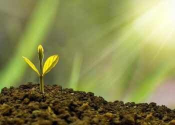 Case Study on the Green Economy Agenda of Brunei Darussalam – ESCAP