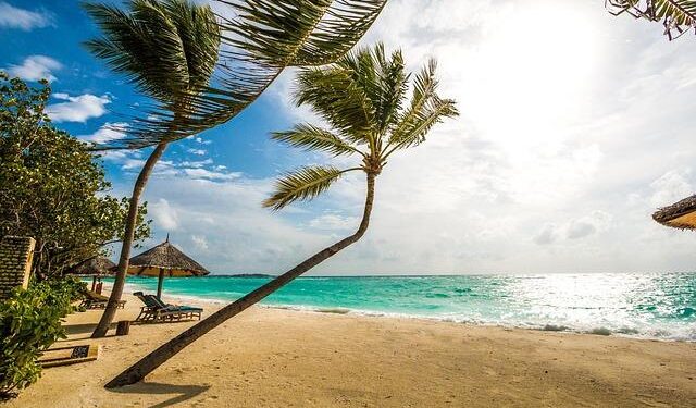 Maldives divers search for 4 missing Italians in an underwater cave – Temple Daily Telegram