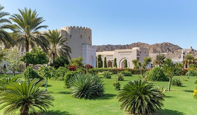 Oman Air targets Central Asia with new Uzbekistan service – Arabian Business