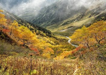 ‘No-Kids Zones’ Abound in South Korea. But Kids Aren’t Pests. – Christianity Today