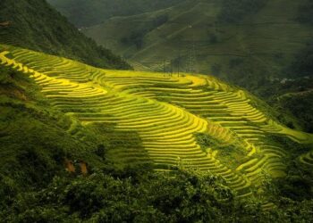 Agoda reveals: Sapa, Vietnam is Asia’s top emerging destination – Yahoo Finance
