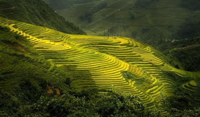 Agoda reveals: Sapa, Vietnam is Asia’s top emerging destination – Yahoo Finance