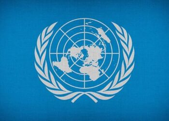 Landing in the heat of history – United Nations Volunteers