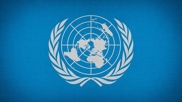 Landing in the heat of history – United Nations Volunteers