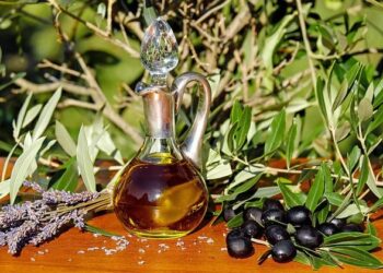 Fry to fly: Japan steps up efforts on cooking oil in race for sustainable aviation fuel​​ – Japan Today