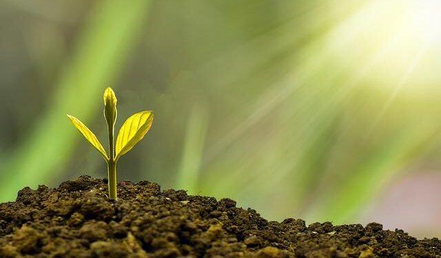 Towards Singapore’s Sustainability – Key Tenets of Our Approach to Sustainable Development – CIRSD